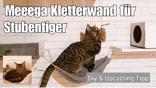 Diy Kletterwand mit Kratzbrett Katzentunnel und Schlafplatz für Stubentiger