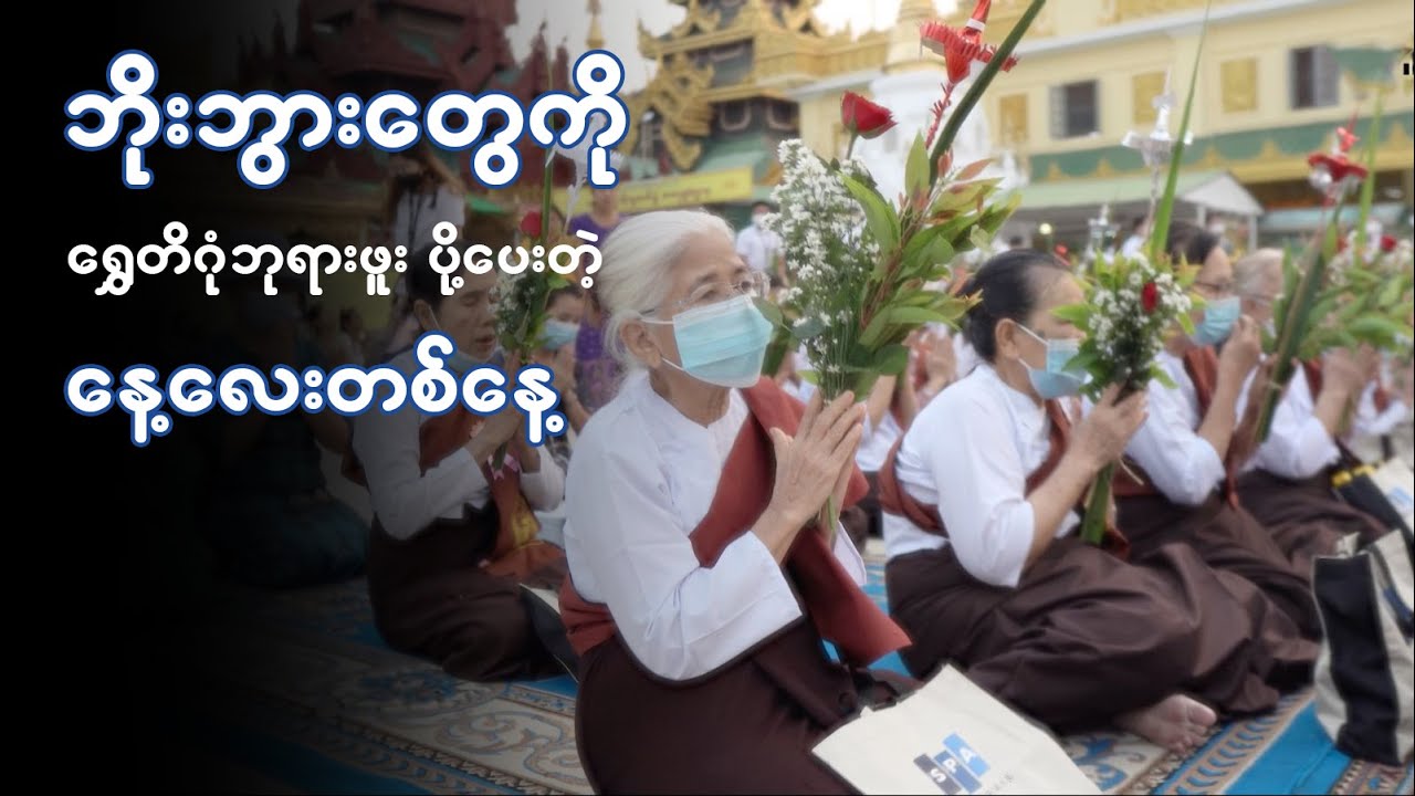 ဘိုးဘွားတွေကို ရွှေတိဂုံဘုရားဖူး ပို့ပေးတဲ့နေ့လေးတစ်နေ့