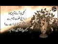 Kabhi Yaad Aye Tu Pochna | Heart Touching Poetry Urdu | Andaz e Bayan | Urdu Poetry | Urdu Ghazal Mp3 Song