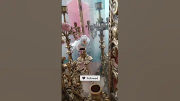 راحتترین روش جلب اعتماد پرنده 