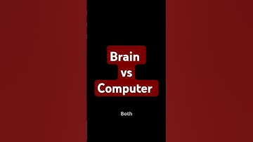 Brain vs. Computer: Similarities & Differences!