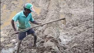 වීඩිෙයා්  අංක  1714  නියර සැකසීම