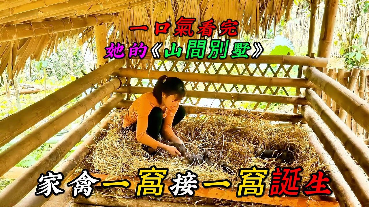 REP：一口氣看完，女人家禽一窩接一窩誕生，真是不得了呀《山間別墅》