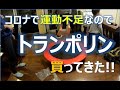 【ガジェット】家庭用トランポリン買ってきた!コロナ運動不足対策！