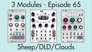 3 Modules #65: Sheep, Dual Looping Delay, Clouds
