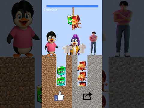 Jinu And The Penguin Jinu In The Continuous Singing Challenge To Win Back The Shirt