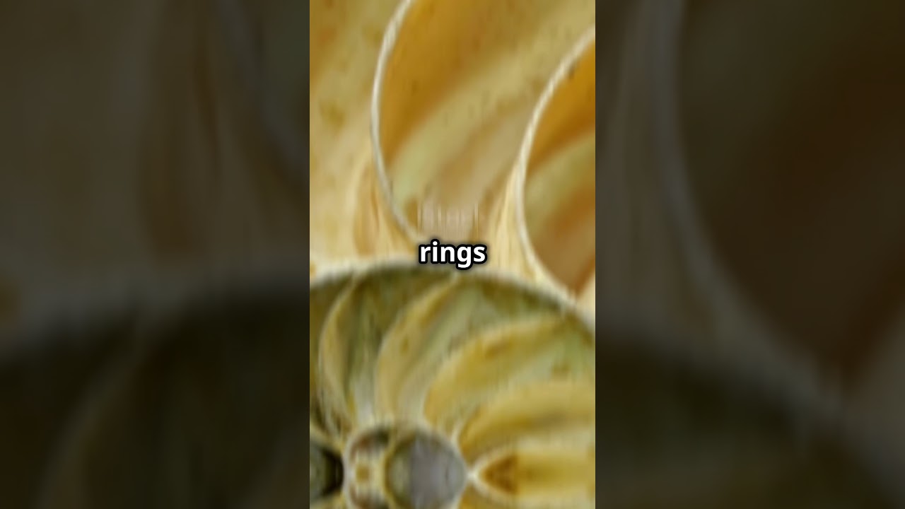 The 500-Year-Old Clam: Ocean Quahog! 