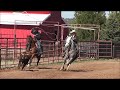 TEAM ROPING HORSES Midwest video - SOLD