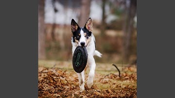 Mind-blowing Music for Visions