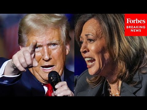 'Just Google Project 2025': Kamala Harris Warns Voters Not To Back Trump | 2024 Rewind