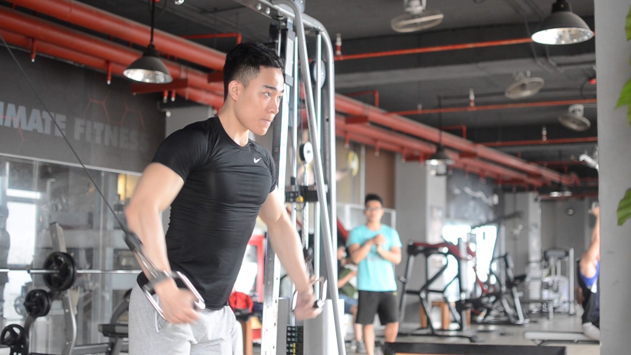 Lower Chest Cable Crossover Lower Chest Cable Crossover