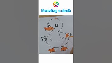 Drawing a duck #duckdrawing #duck #drawing #art #easydrawing #howtodraw #painting #drawingtutorial