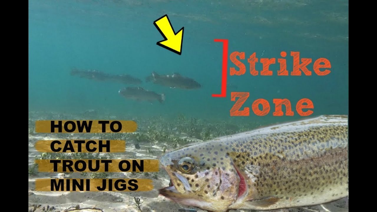 How to Catch Trout On a Mini Jig 