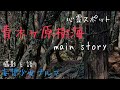 青木ヶ原樹海 心霊スポット 深層部へ潜入…妄想少女ブルマ♡