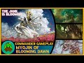 Casual commander  edh gameplay  myojin of blooming dawn versus rosheen meren and xyris