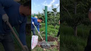 Orchard Fence Installation Guide 🌳