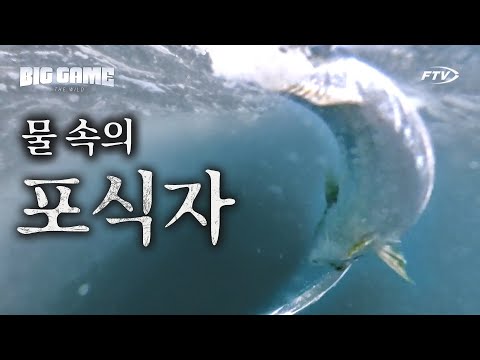 <strong>인내</strong> 끝에 만끽하는 소나기 입질! [빅게임 더 와일드/5,6회]