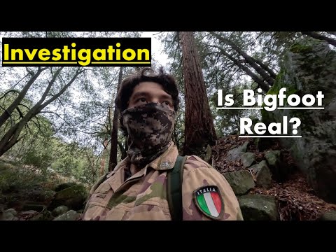 I Investigated Bigfoot In California...