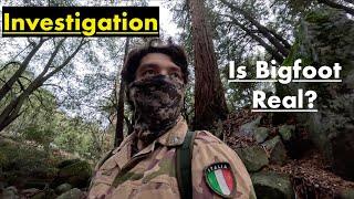 I Investigated Bigfoot In California...