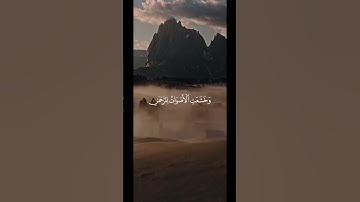 وخشعت الأصوات للرحمن || تلاوة خاشعة بصوت الشيخ ياسر الدوسري ارح سمعك