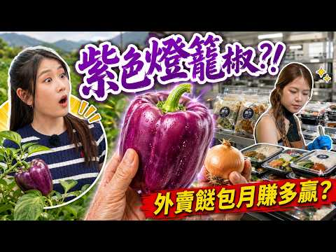 【本地有機菜】試種黃洋蔥大公開！竟然仲有「紫色燈籠椒」？｜香港原味道｜健康360 TVB