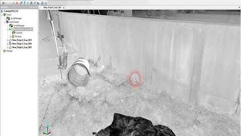 FARO SCENE Removing Color from a Scan In SCENE 6.0