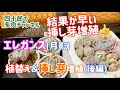 【多肉植物】【ガーデニング】