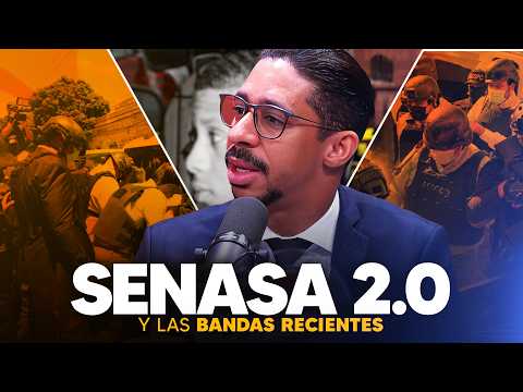 CASO SENASA 2.0: Abogado Chanel Liranzo revela la verdad de los allanamientos