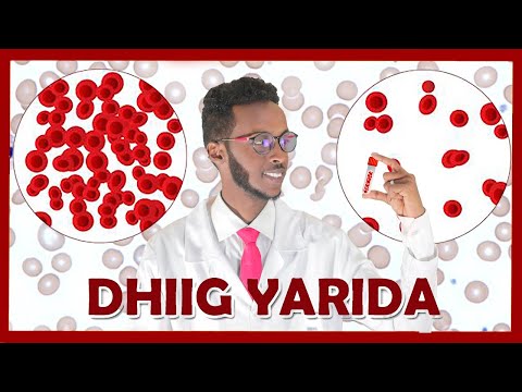 DHIIG YARIDA IYO SIDA LOO DAAWEEYO | Anemia