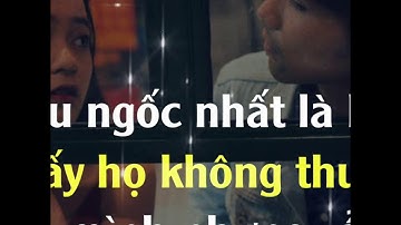 Share sóng nhạc giống Fanpage Dân Tổ 5.0 | Nông Văn Trí Official