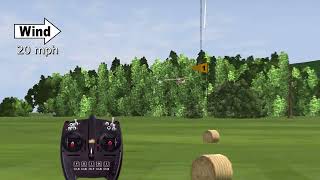 Crosswind Landing Technique