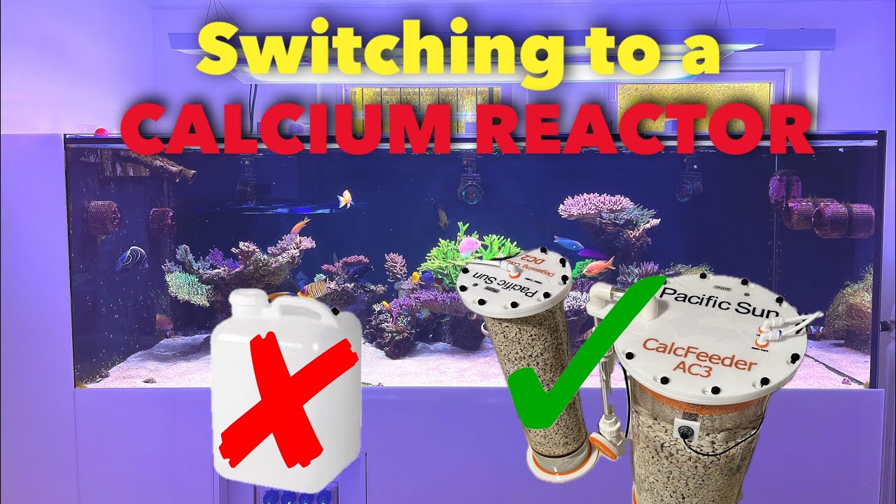 HUGE RELIEF- Switching from dosing to calcium reactor - Pacific Sun CalcFeeder AC3 Pro