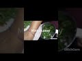 mint chutney