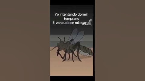 Yo intentando dormir🦟🤭 #humor #dormir #zancudos #mosquitos