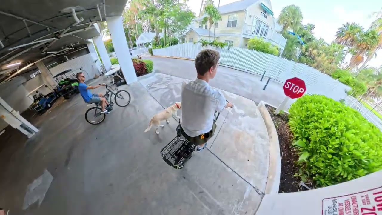 Dog Life in Key West | Biking Truman Annex with the Pack