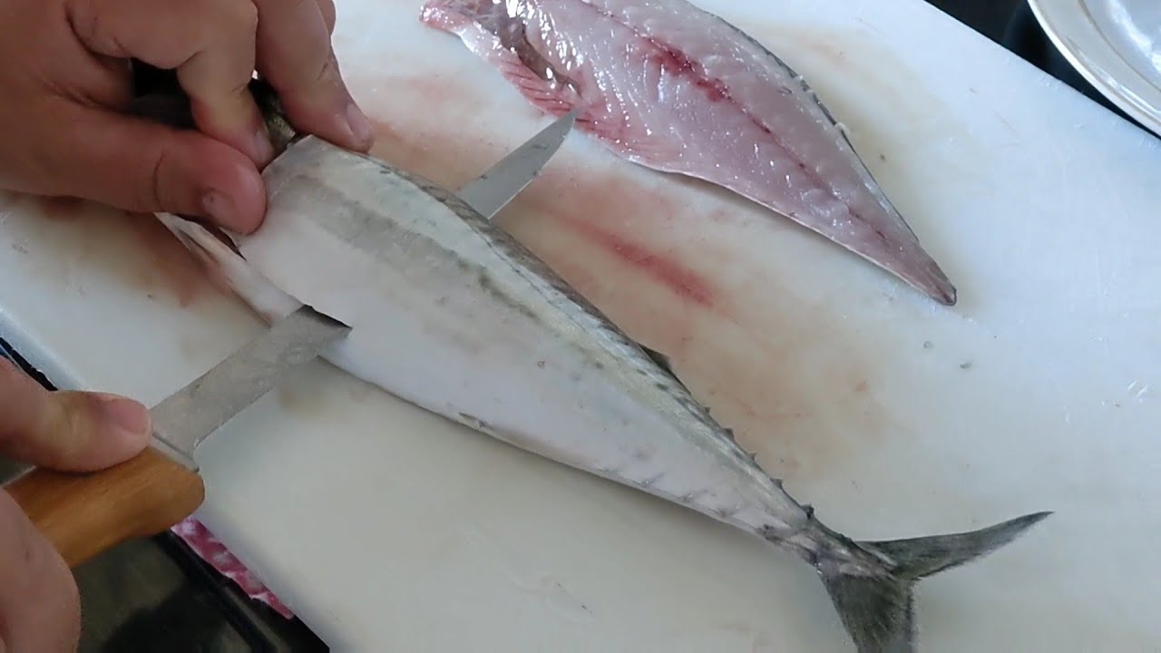 How to fillet a mackerel YouTube