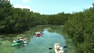 Plan to Label All Paddlecraft and the US Coast Guard Auxiliary
