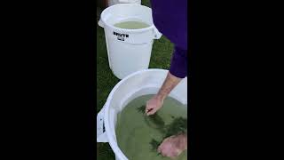 Outdoor Bud Dunking