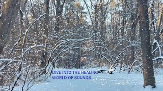 The healing sounds of ASMR snowfall: nature's therapy for the soul