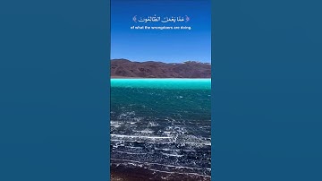 سبحان الله|زهور من القرآن الكريم| عالم الزهور| #quran# view #قرآن #راحة_نفسية #nature #video #relax