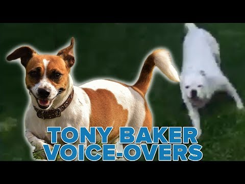 PATCHES BOOTCAMP - Tony Baker Voice-Overs