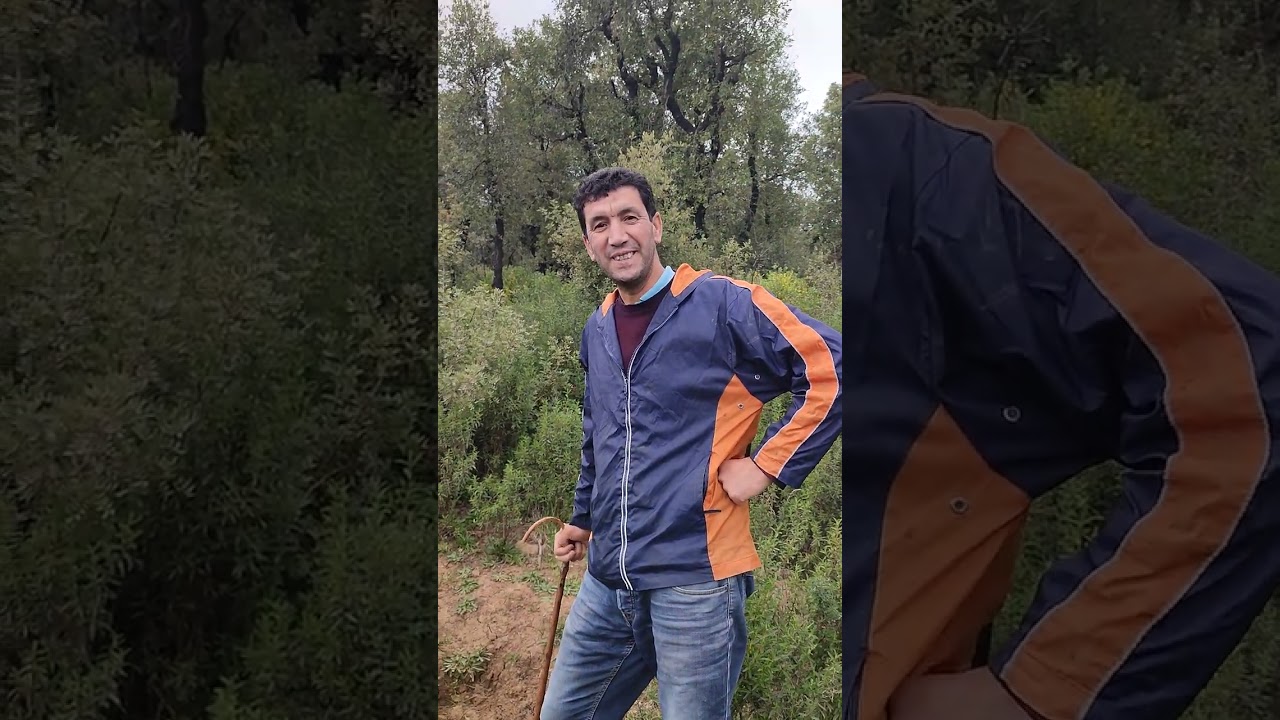 L'équilibre de l'ecosystèmeen plein nature sauvage Dans un bain d'air pure avec les chevres@