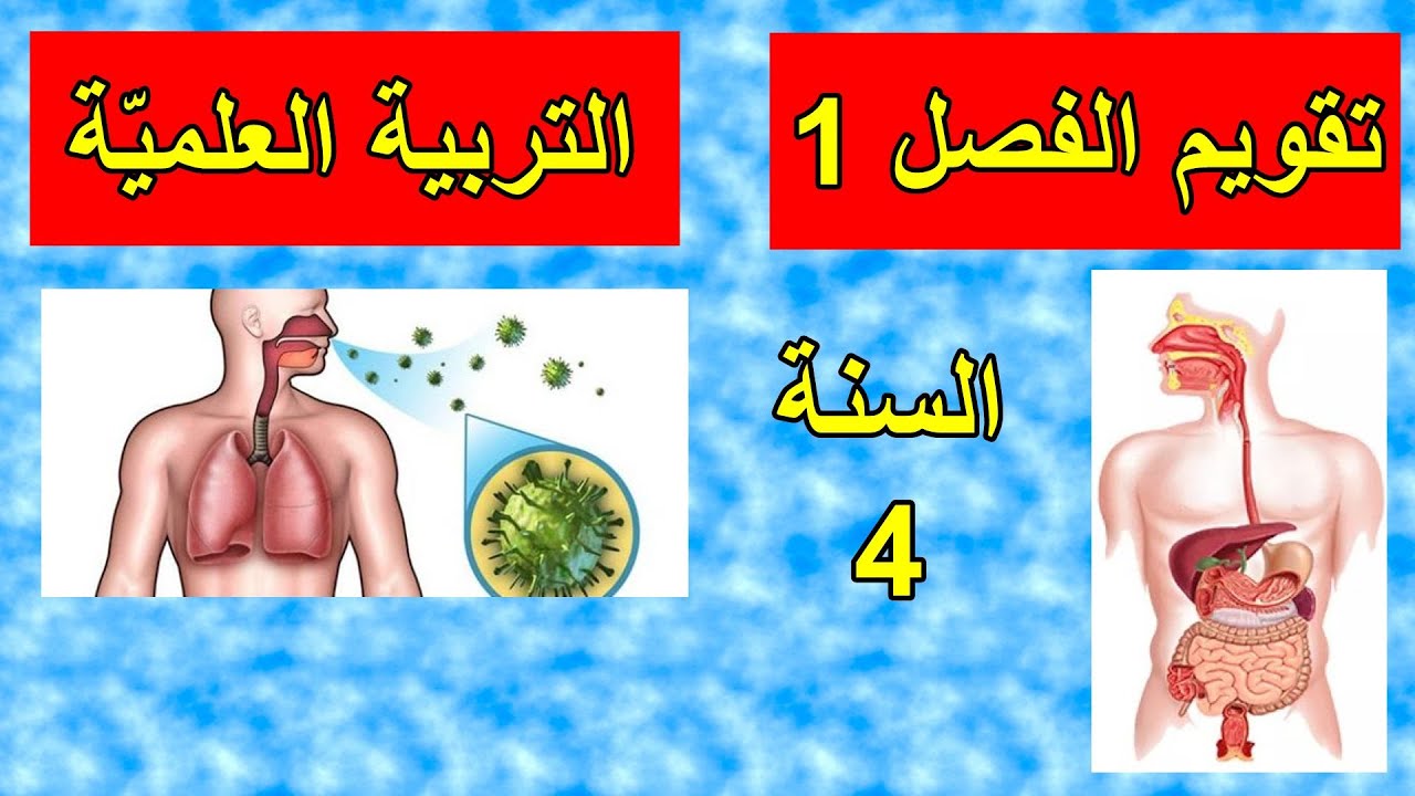 اختبار الفصل1 في التربية العلمية السنة 4 ابتدائي النموذج1
