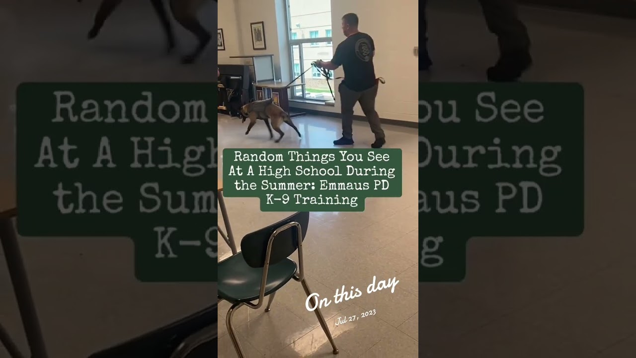 #9thgradeexperience never knows what you will find in a school over the summer #k9
