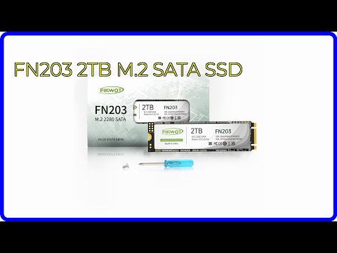 REVIEW (2026): FN203 2TB M.2 SATA SSD. First Look. - YouTube