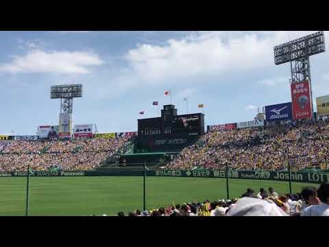 阪神タイガースのPVと選手の名前
