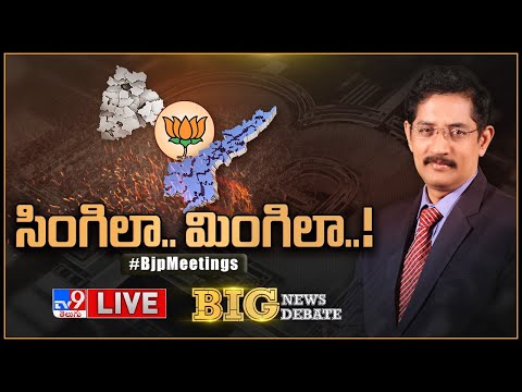 Big News Big Debate LIVE: సింగిలా.. మింగిలా..! | BJP Meetings - Murali Krishna TV9