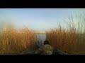 Охота на уток на озере Балхаш 2- 3 ноября 2019 г