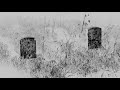 Poet Valzhyna Mort reads from Music for the Dead and Resurrected