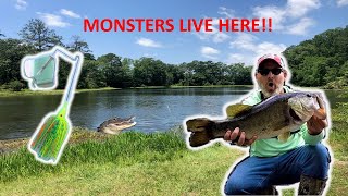 Monster Bass On BuzzBaits And How I Fish For Them!!